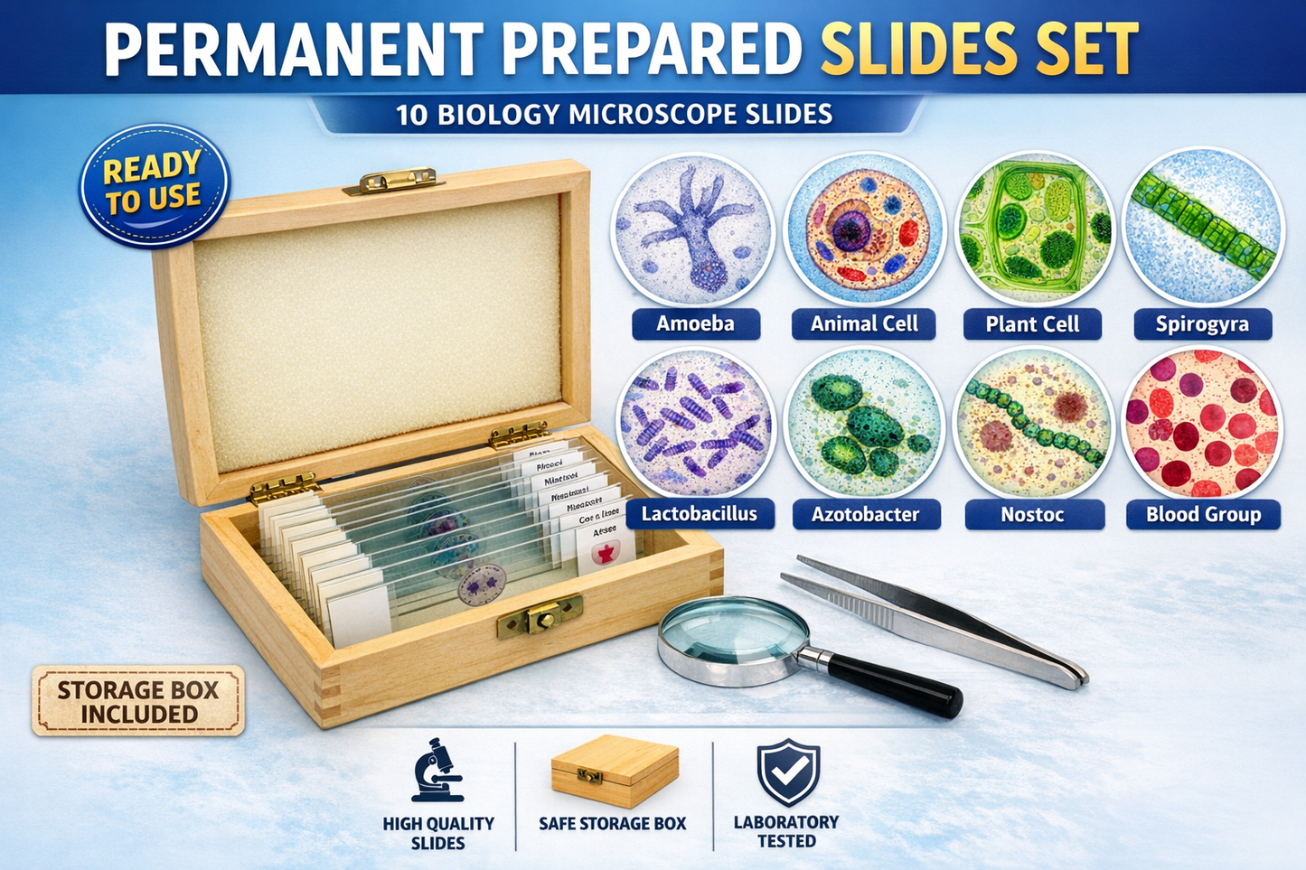 Permanent Slides in Box