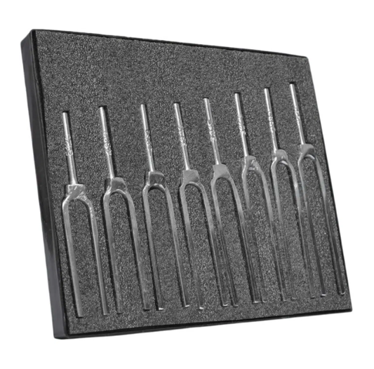 WELCH TYPE TUNING FORK