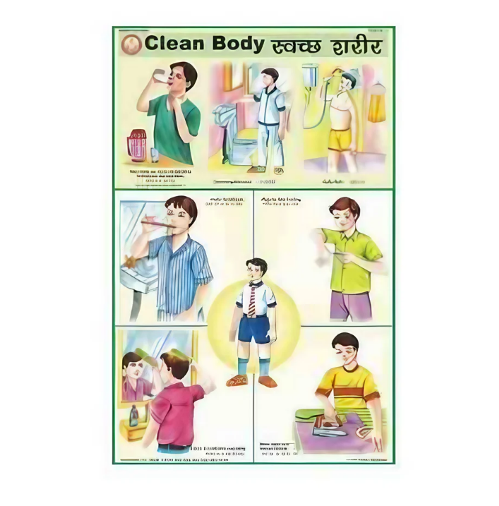 Clean Body Chart