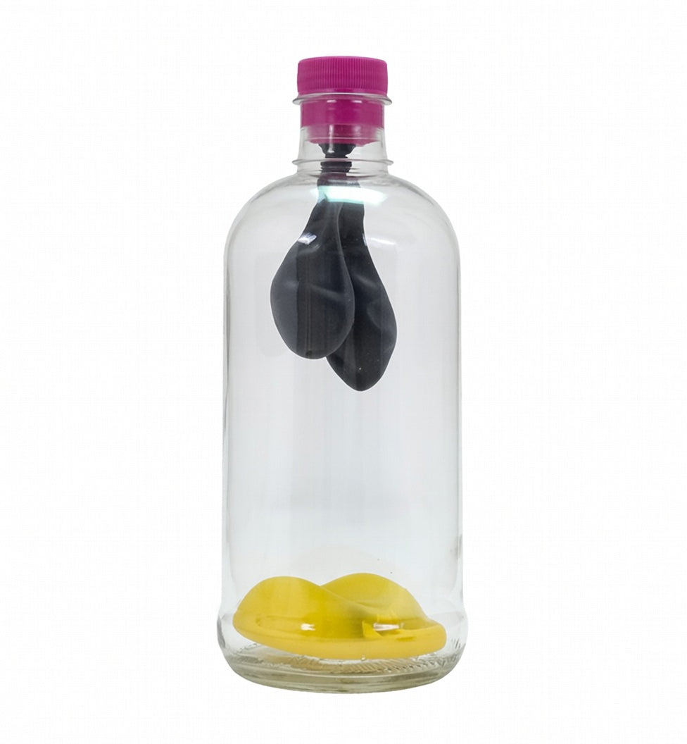STEM Activity Kit Respiratory System in Humam Beings