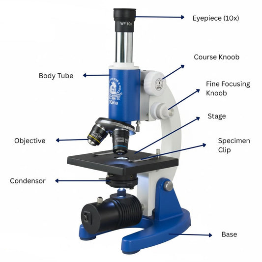 COMPOUND MICROSCOPE (STUDENT)