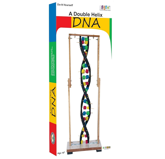 DNA Model Making Kit