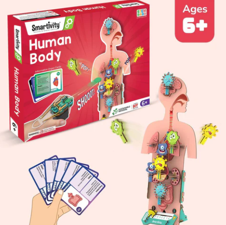 Human Body | 6-10 Years | DIY STEM Construction Toy