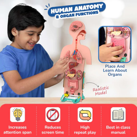 Human Body | 6-10 Years | DIY STEM Construction Toy