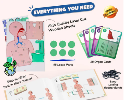 Human Body | 6-10 Years | DIY STEM Construction Toy