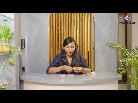 STEM Activity Kit Model of Teeth