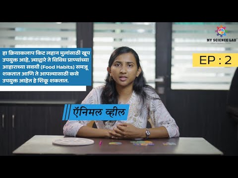 STEM Activity Kit Animal Wheel